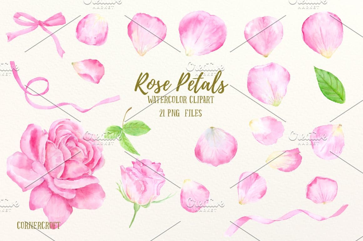 Green leaves of roses, rose buds, petals are made in watercolor.