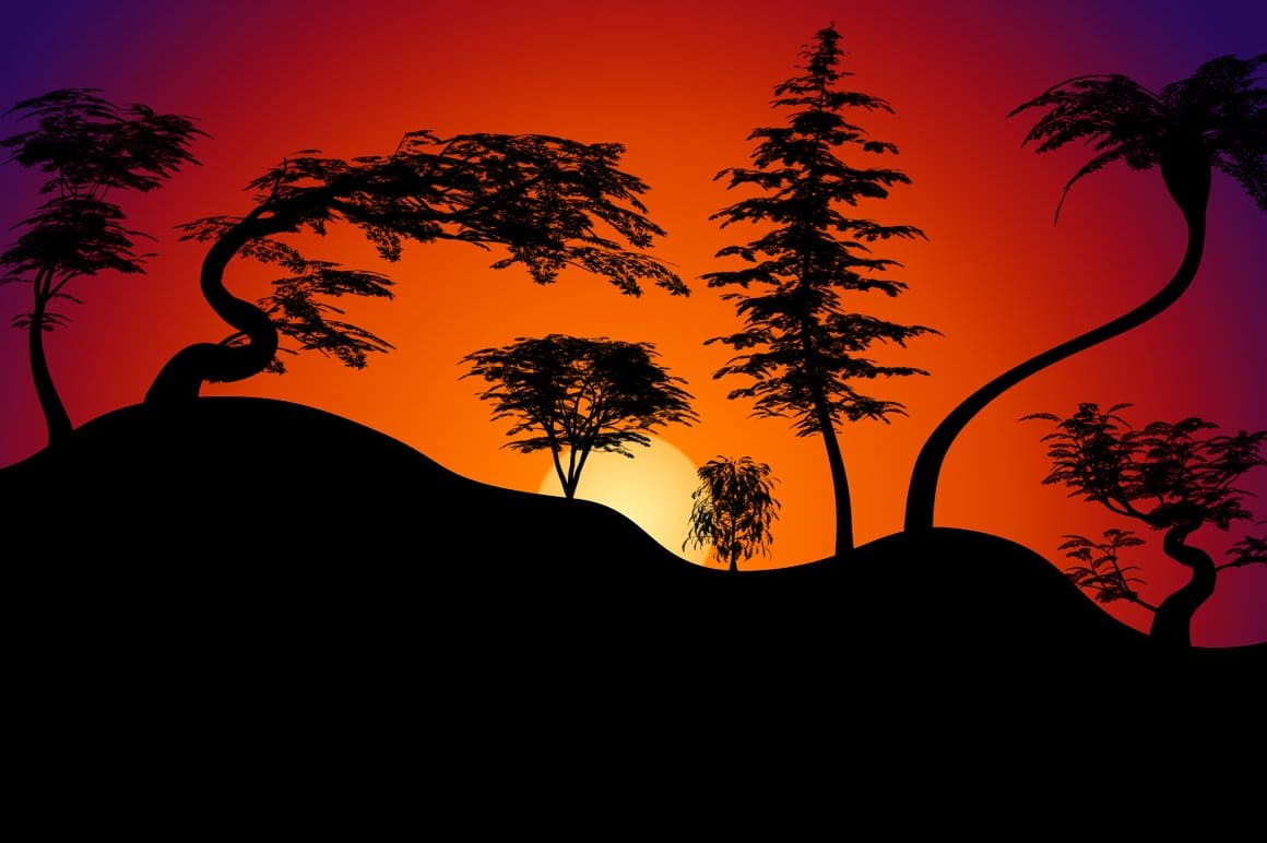 Silhouettes of decorative trees at sunset.