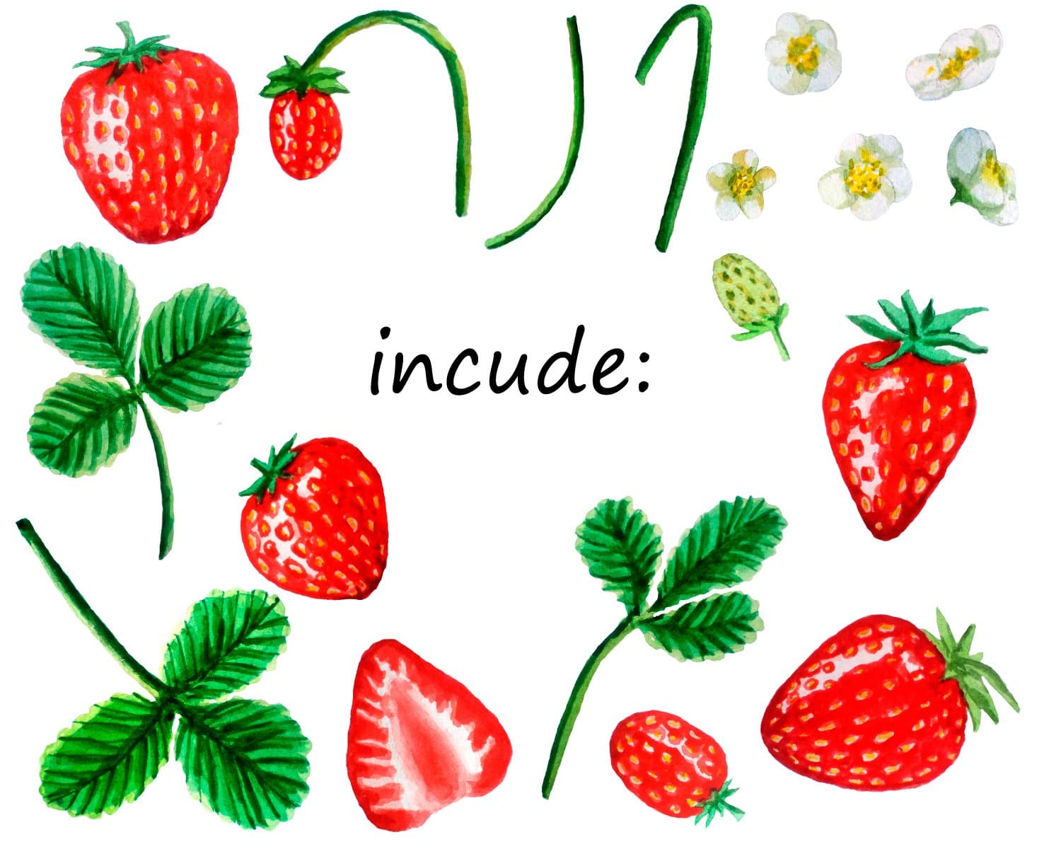 Watercolor strawberry consists of elements: flowers, leaves, ripe and green fruits.