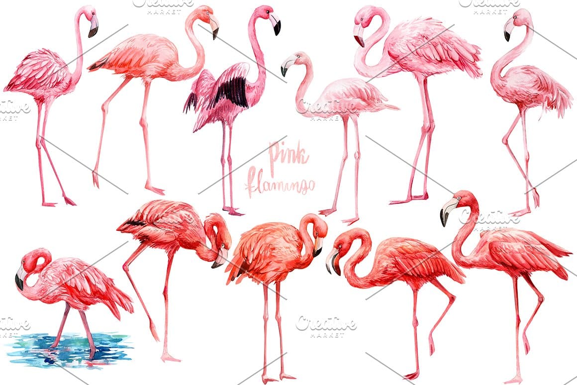 11 pink flamingo on the white background.