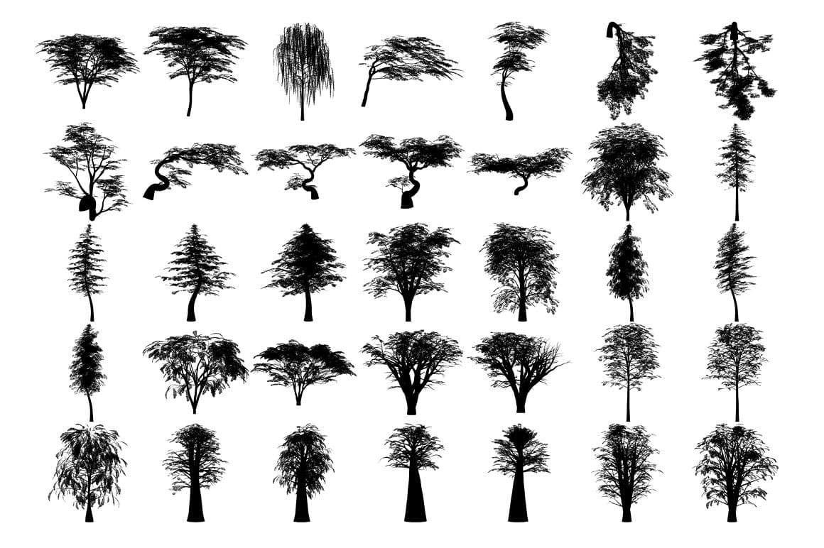 Silhouettes of trees that bend from the wind and stand calmly.