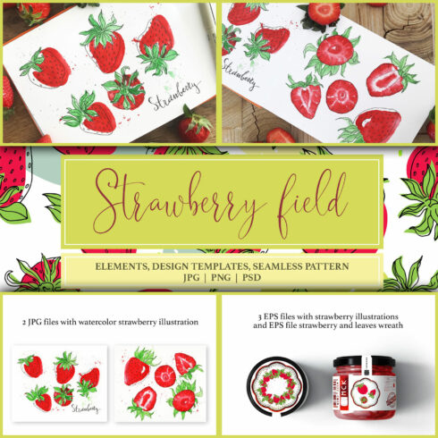 A few slides of strawberry field.