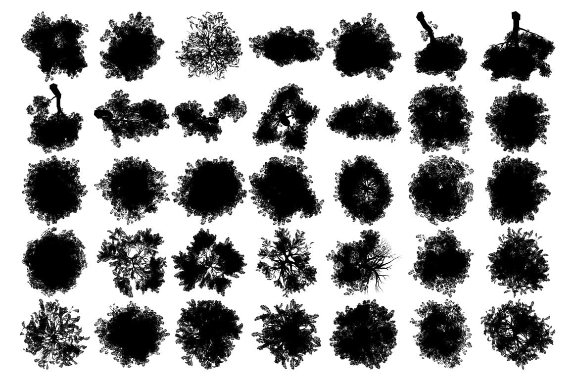 Silhouettes of trees from above of regular and irregular shape.