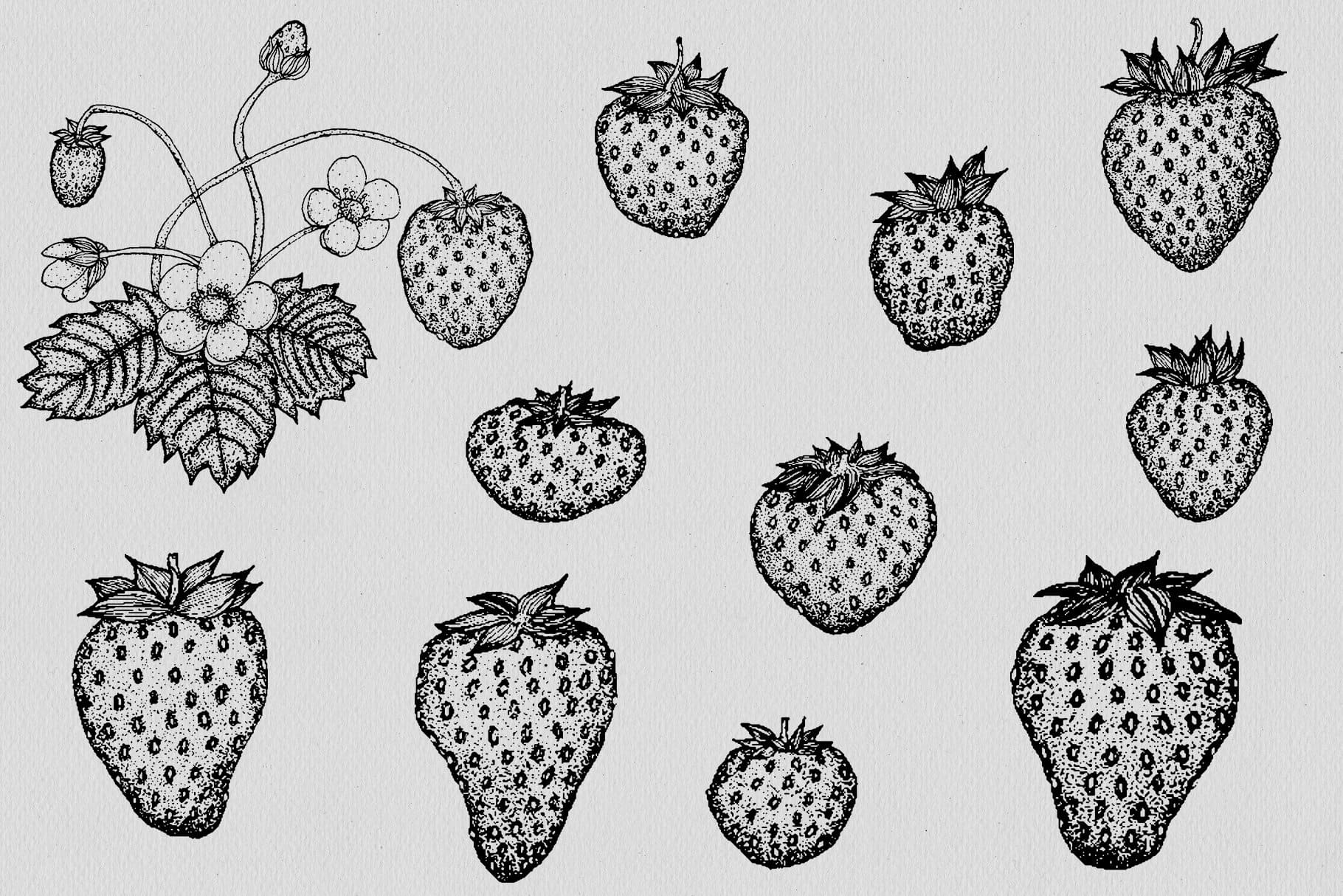 A classic illustration of a strawberry in black and white.