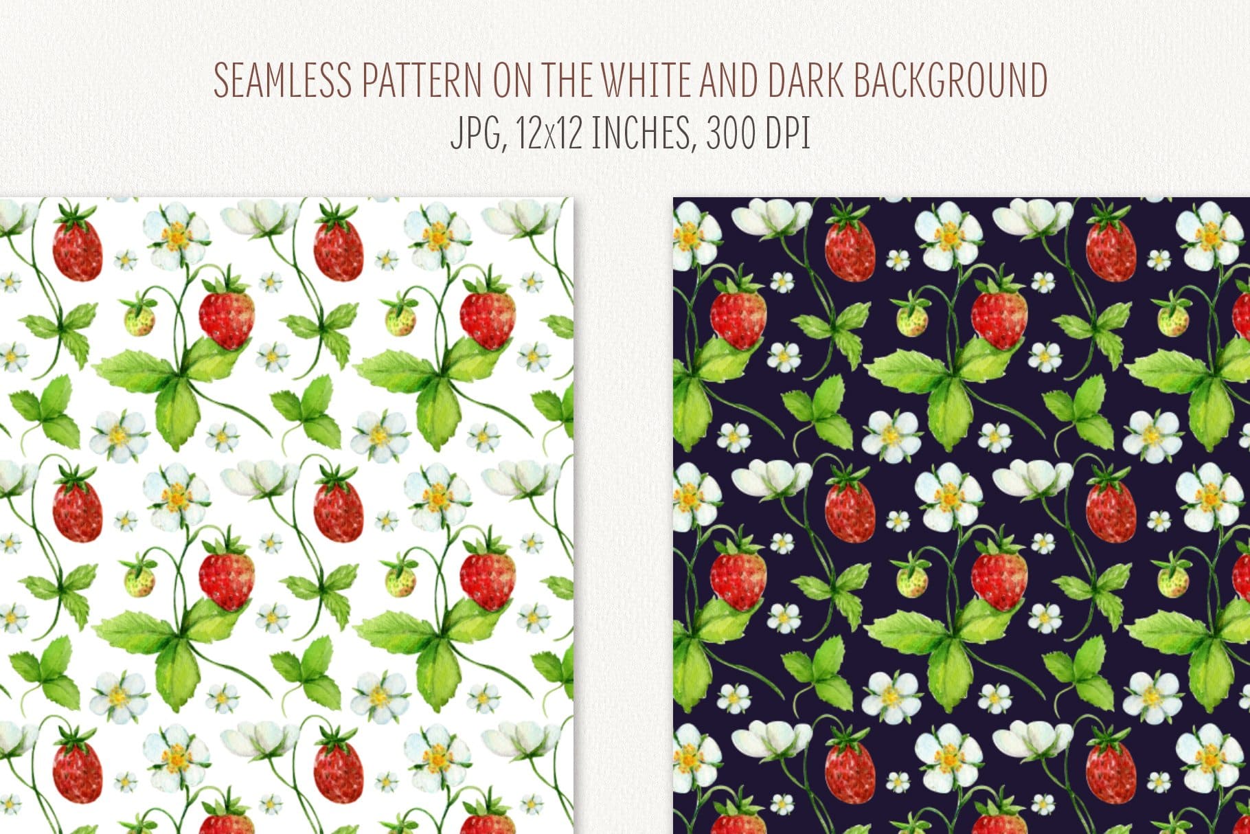 Strawberry bushes are depicted on white and black backgrounds.