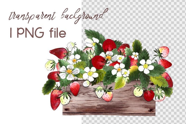Strawberry clipart on the transparent background.