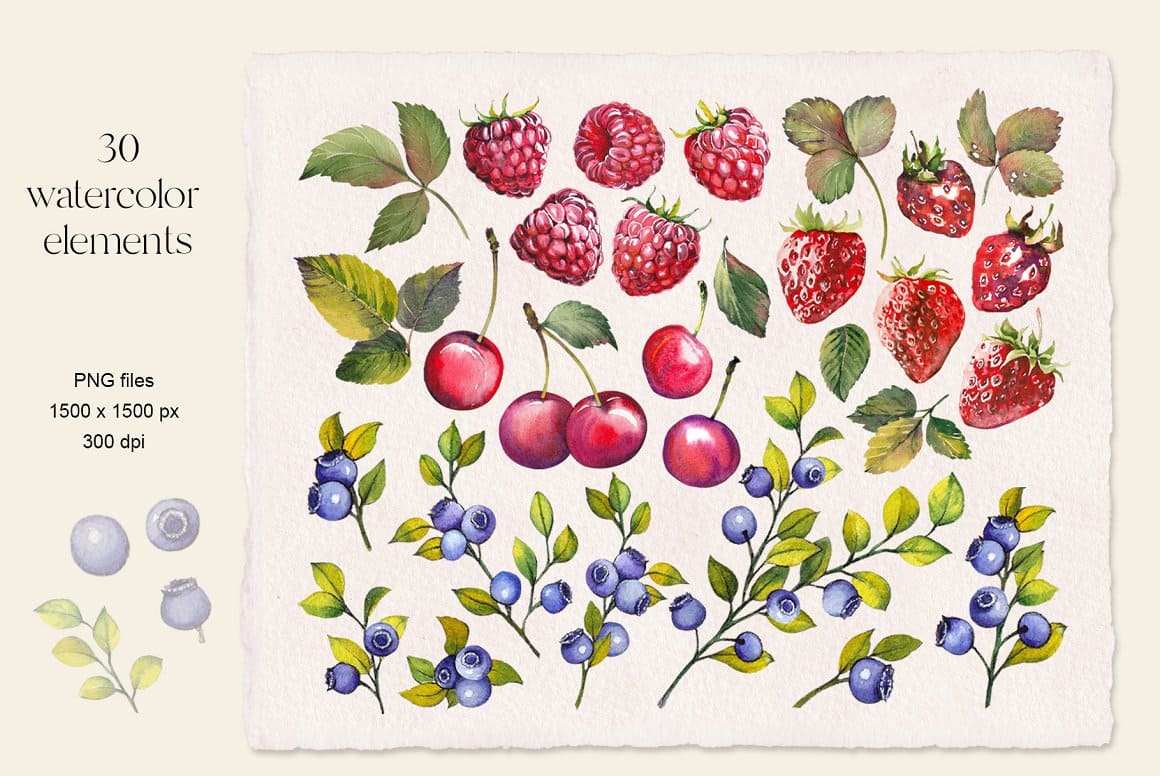 30 watercolor elements of berries.