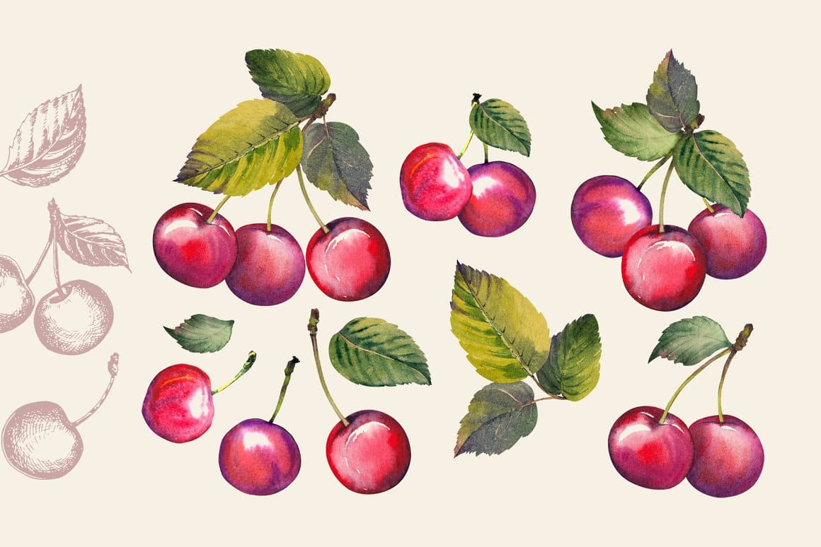 Image of red watercolor cherries with green leaves.