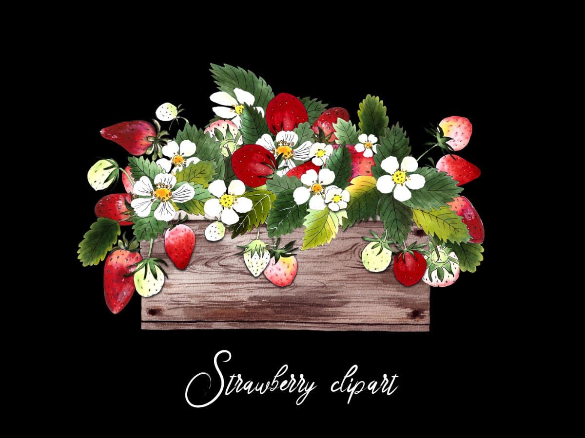 Strawberry clipart on the black background.