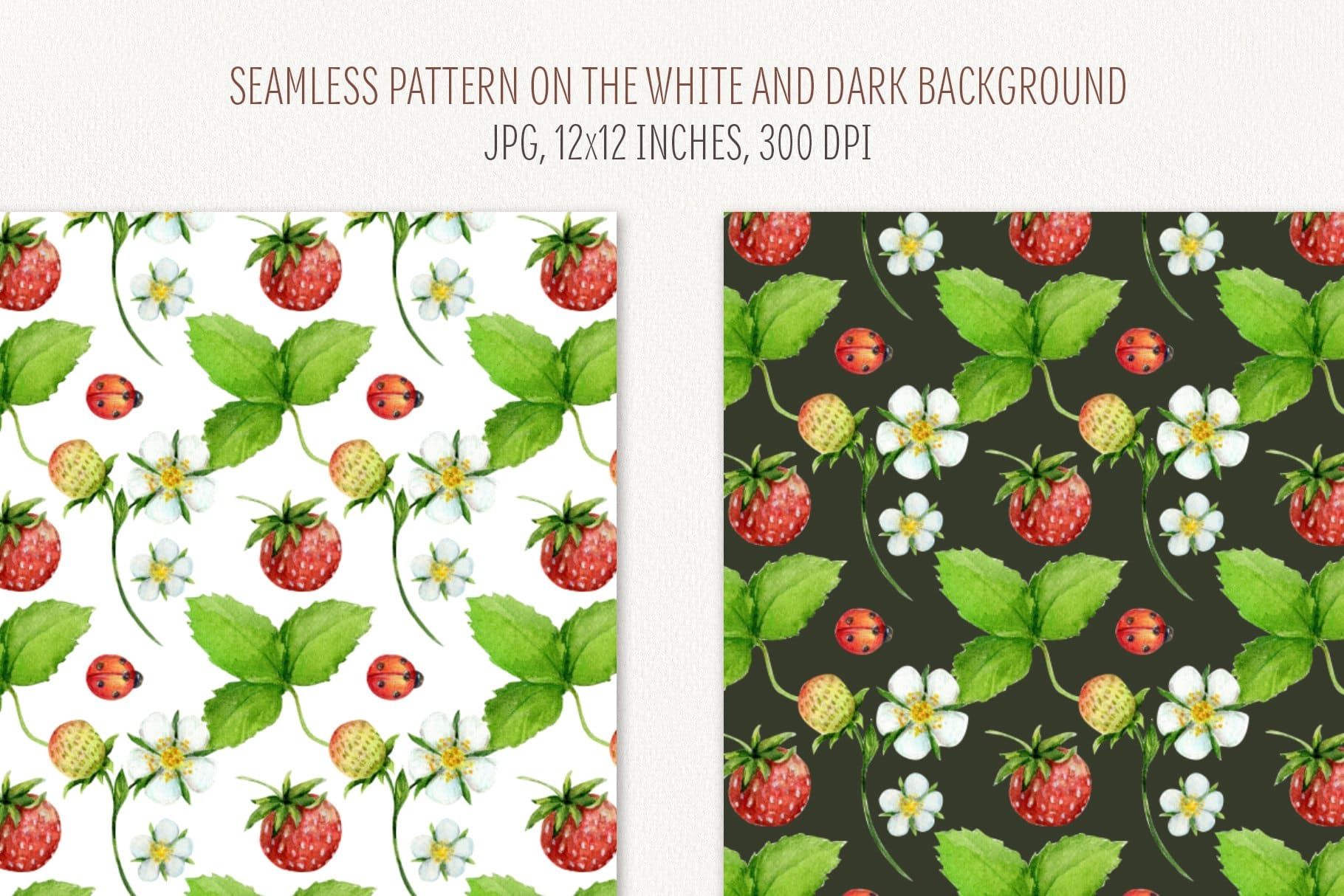 Strawberry leaves and strawberry berries on white and black backgrounds.