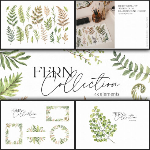 Images with watercolor fern greenery patterns.