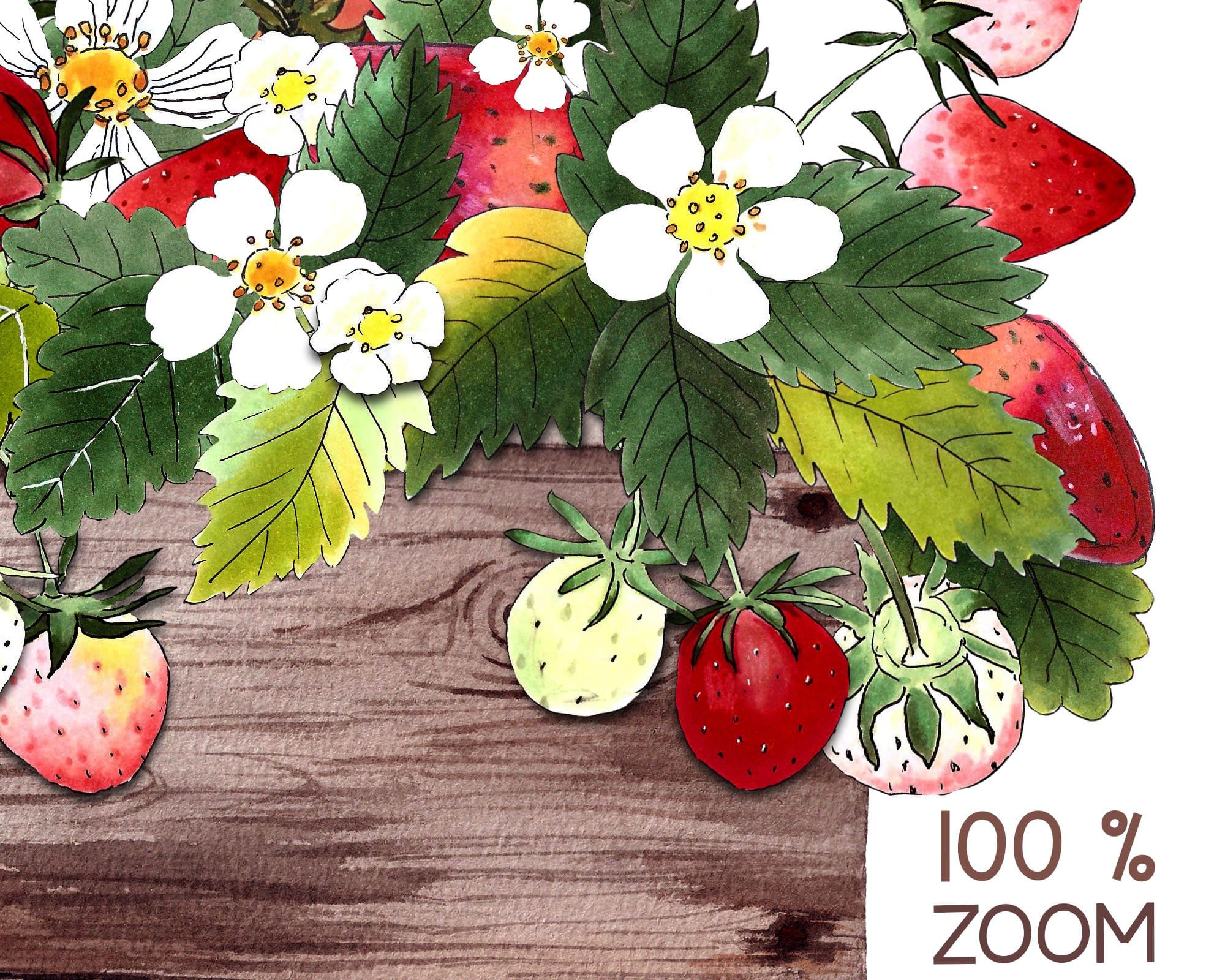 100% zoom of strawberry clipart.