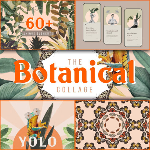 Preview botanical collage art maker elements.