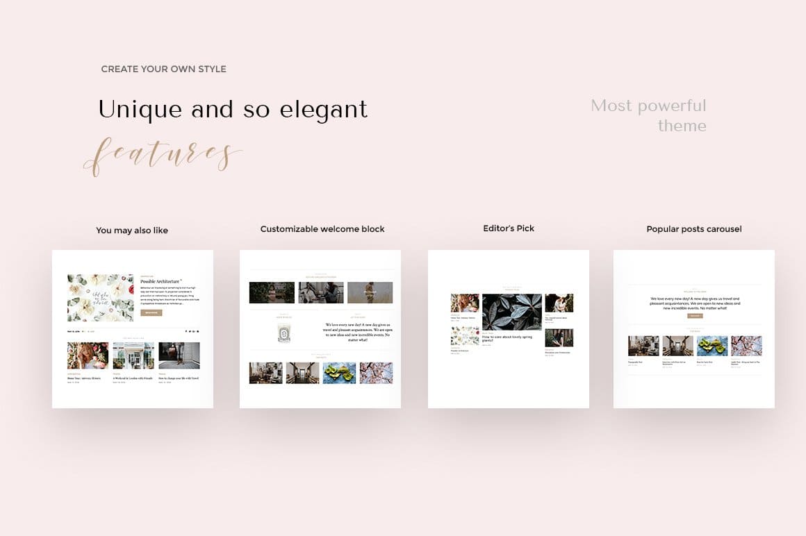 Unique and so elegant features of Aerin wordpress blog shop theme.