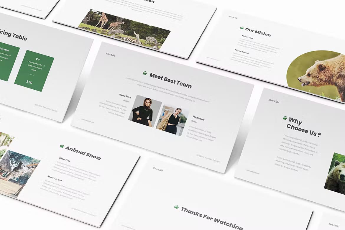 Best team of Zoo Powerpoint Template.