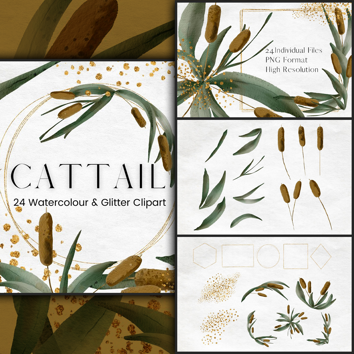 Preview watercolour cattail clipart.
