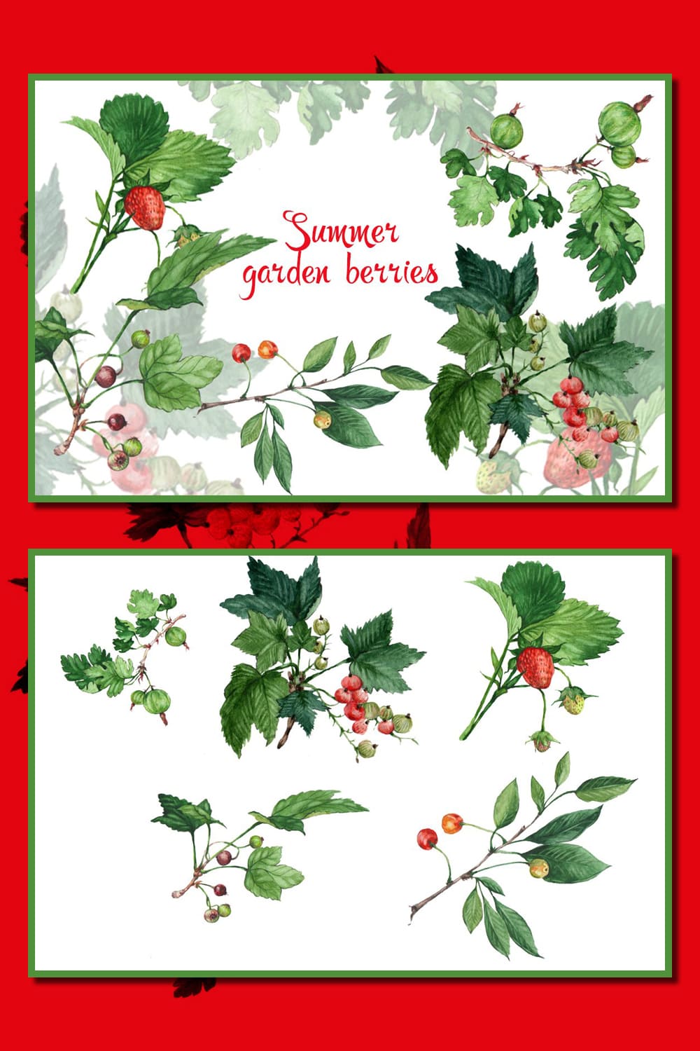 Two slides are placed vertically from each other with realistic watercolor berries.