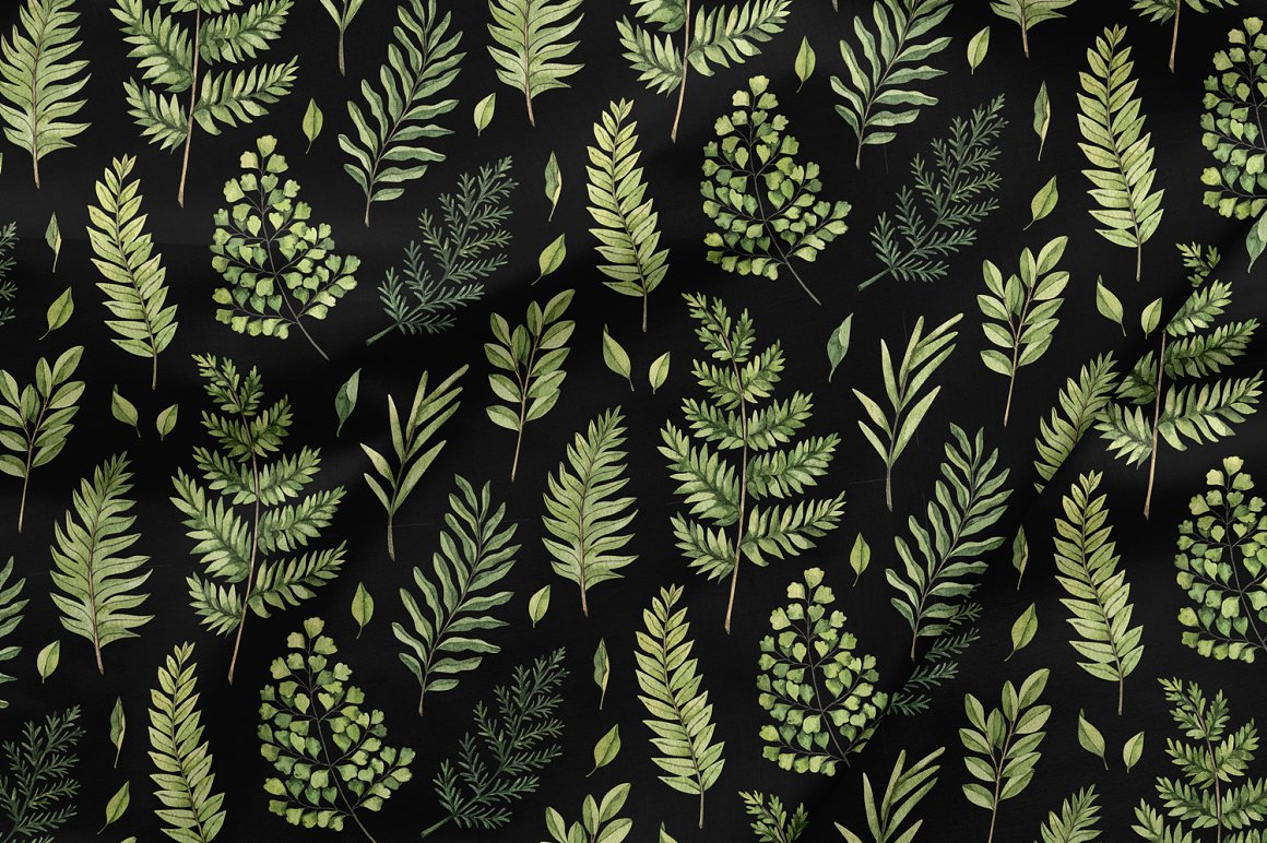 Foliage and evergreen on a black background.