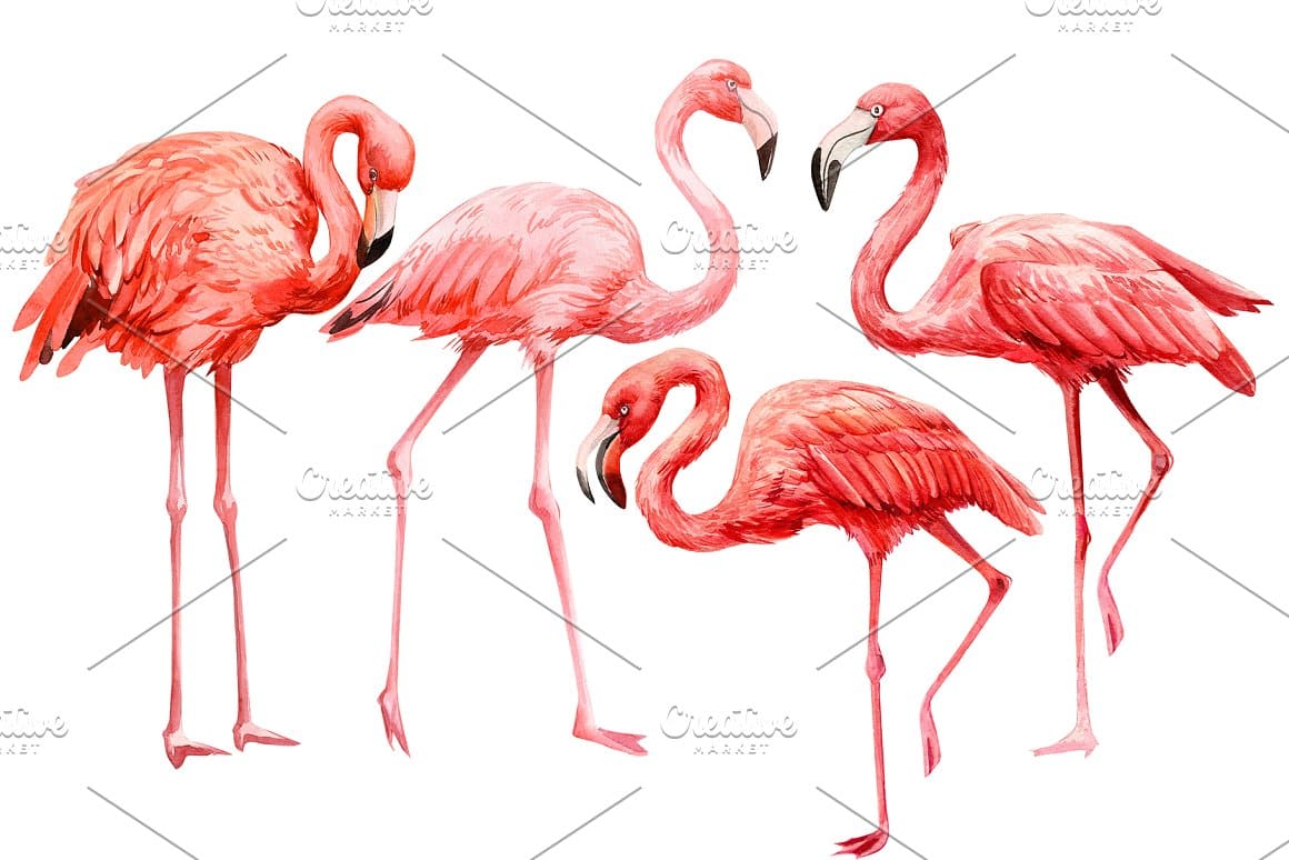 Realistic image of pink flamingos in different poses.