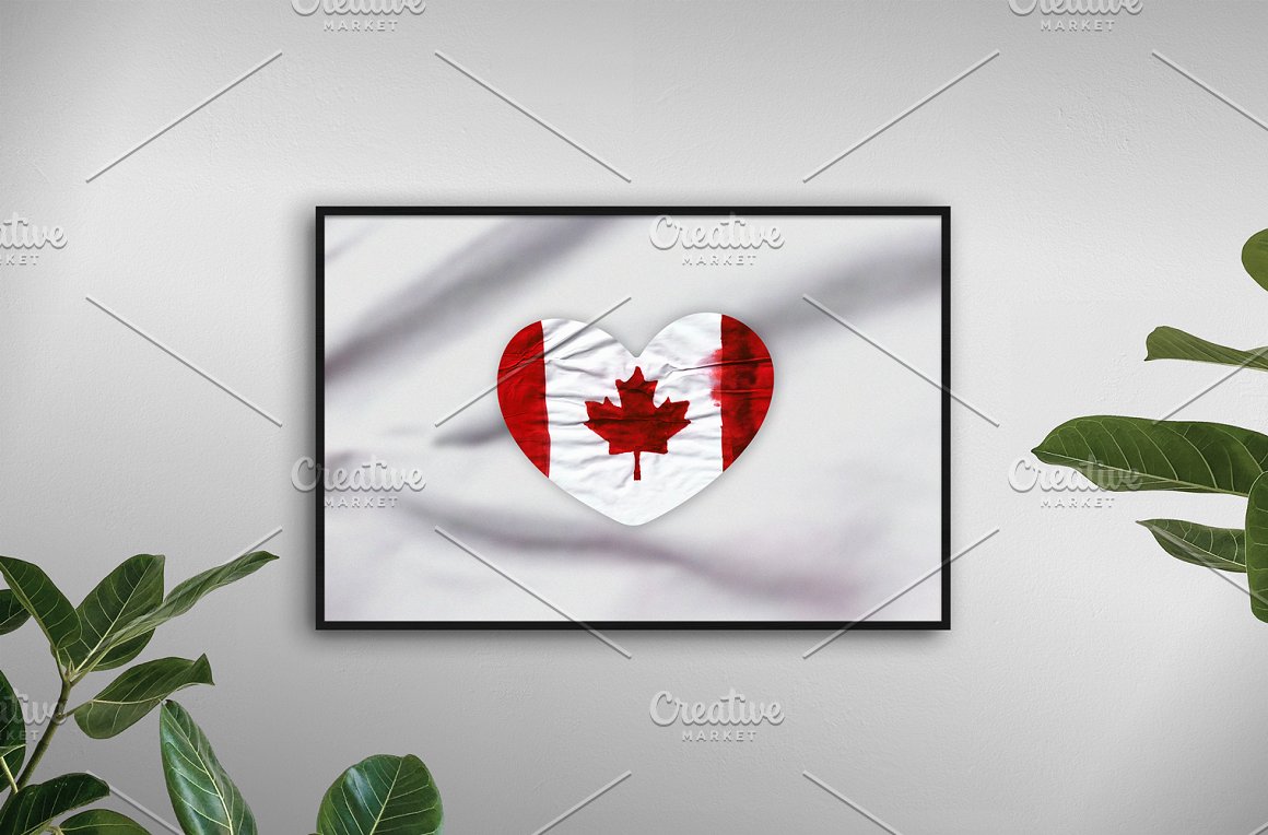 Various options for previewing the Canadian symbol.