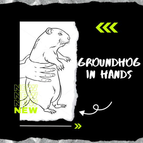 Preview images with groundhog in hands.
