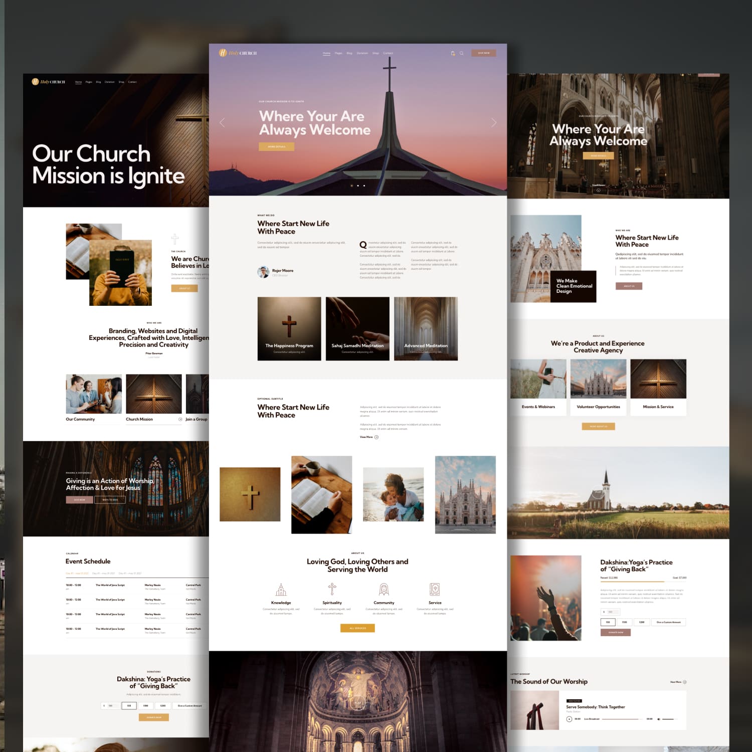 Holy Church Religion, Charity & Nonprofit WordPress Theme, second picture 1500x1500.