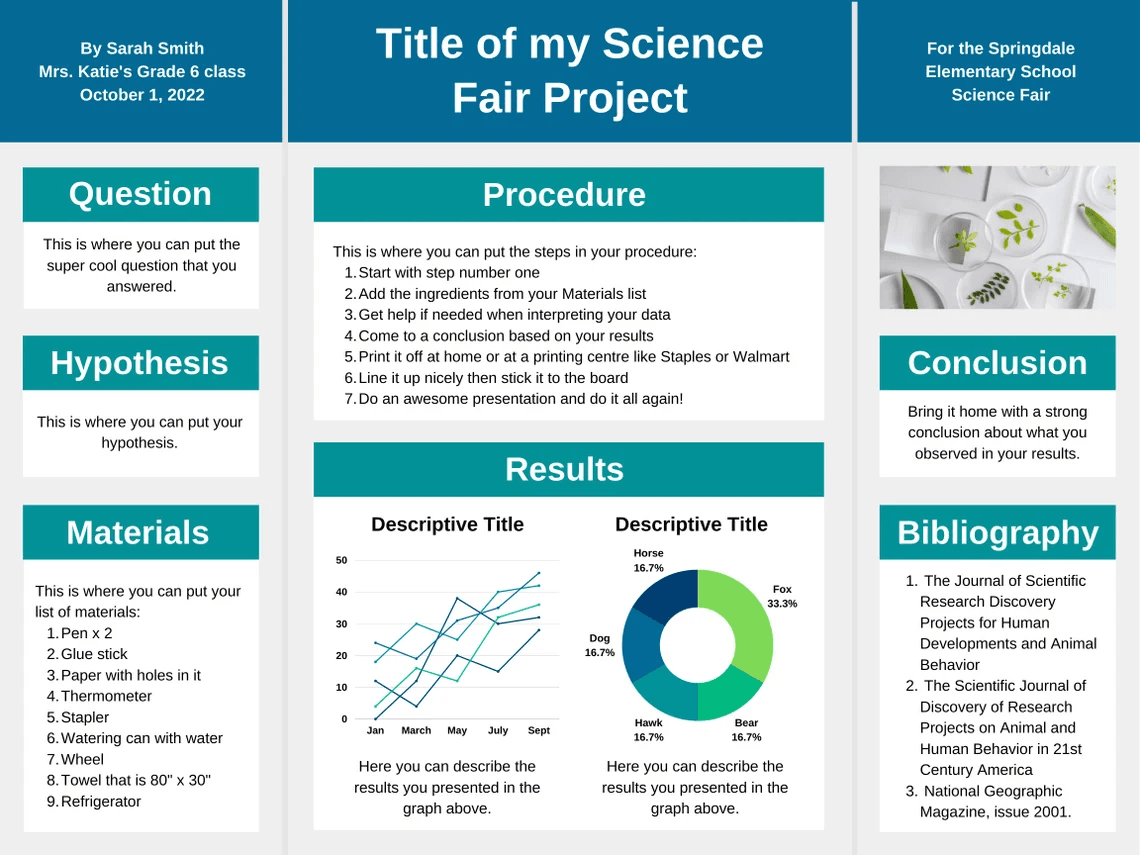 Scientific presentation slides