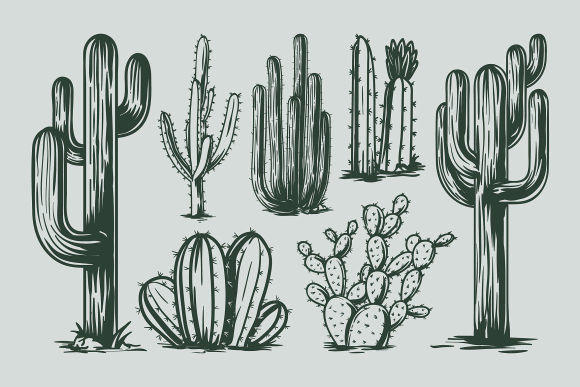 Great images with cacti.