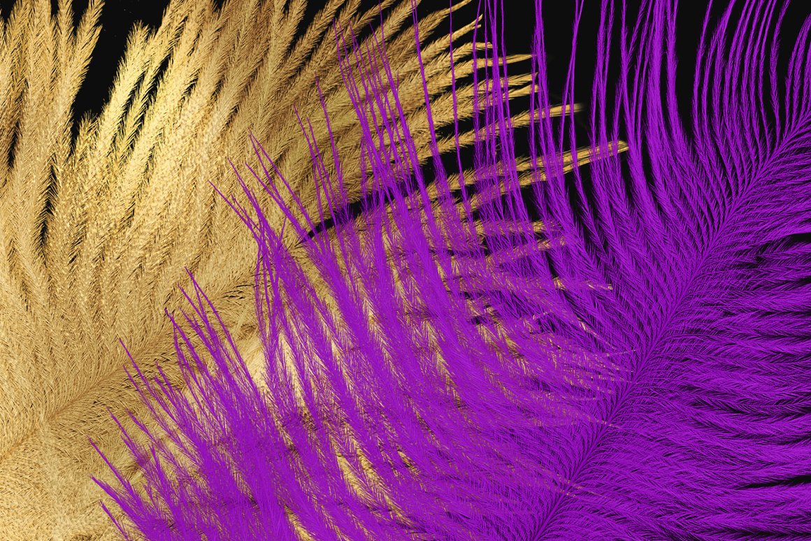 Gold and purple on black background.