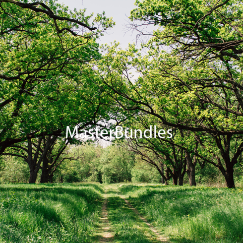 10 Nature Photos Free | MasterBundles