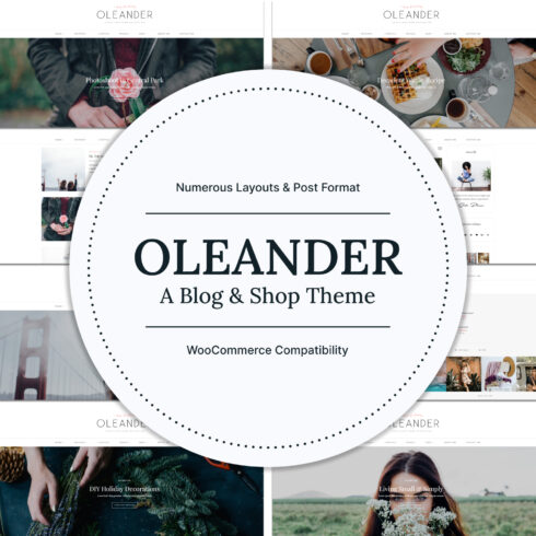 Preview illustrations oleander a blog shop theme.