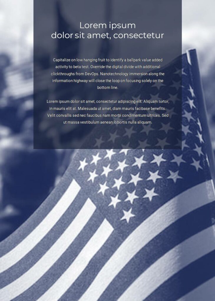 Veterans Day Google Slides Theme – MasterBundles