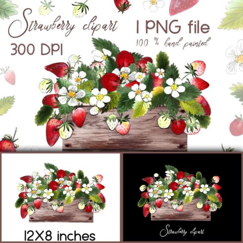 Three slides depicting strawberry bushes with flowers, green and red strawberries.