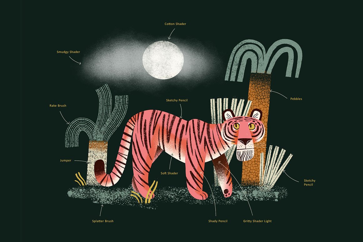 Image of a tiger and an echo.