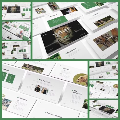 Zoo Powerpoint Template – MasterBundles