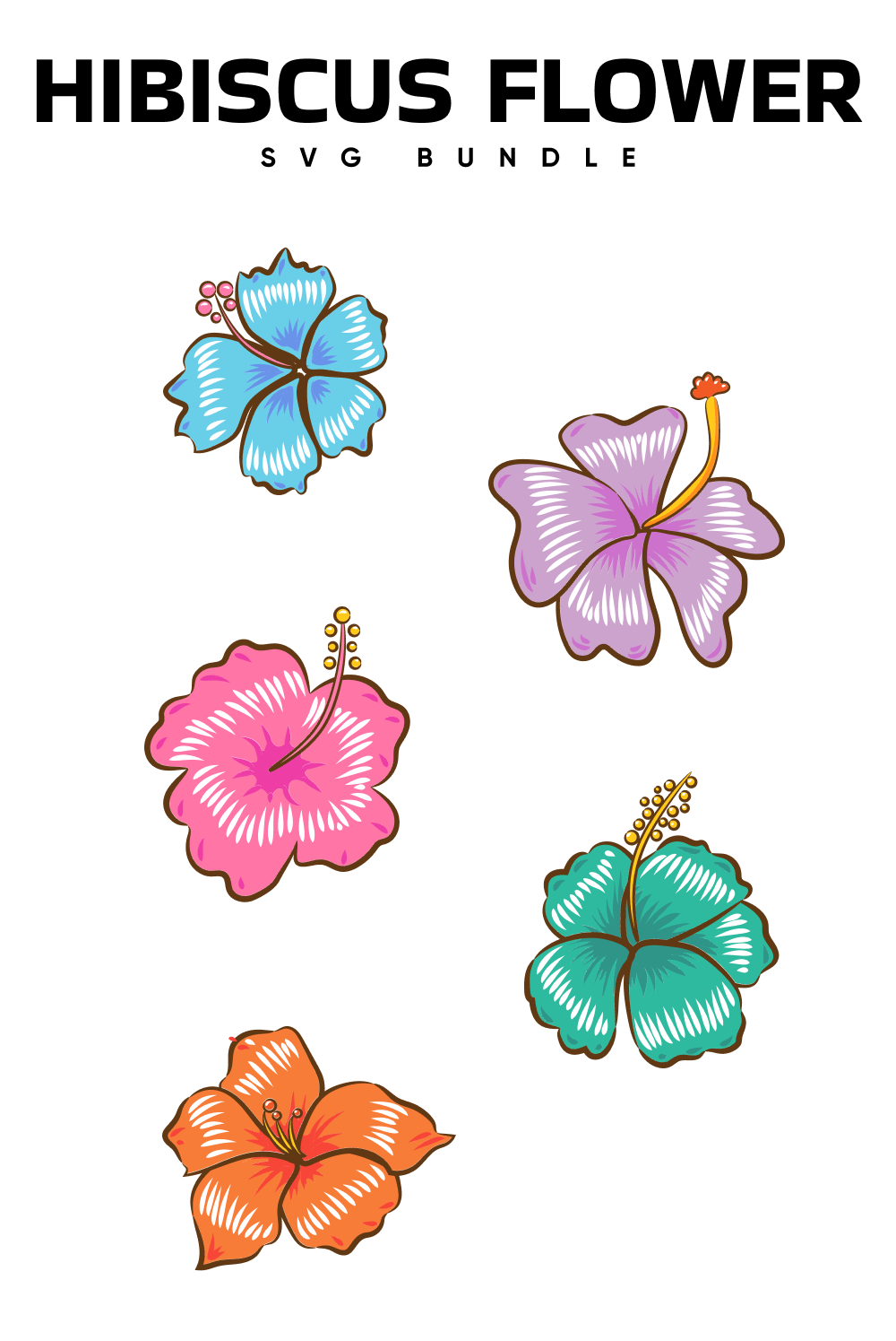 Pinterest illustrations of hibiscus flower bundle.