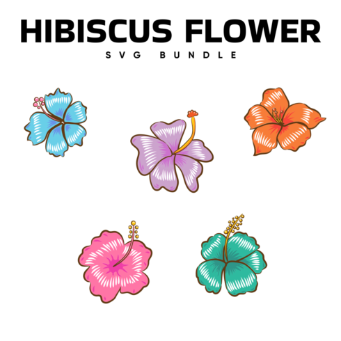 Images with hibiscus flower bundle.