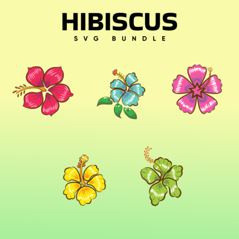 Images with hibiscus bundle.