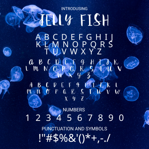 Preview jelly fish font images