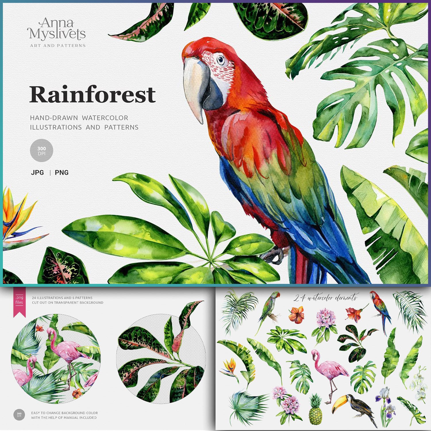 Rainforest illustrations, main picture 1500x1500.