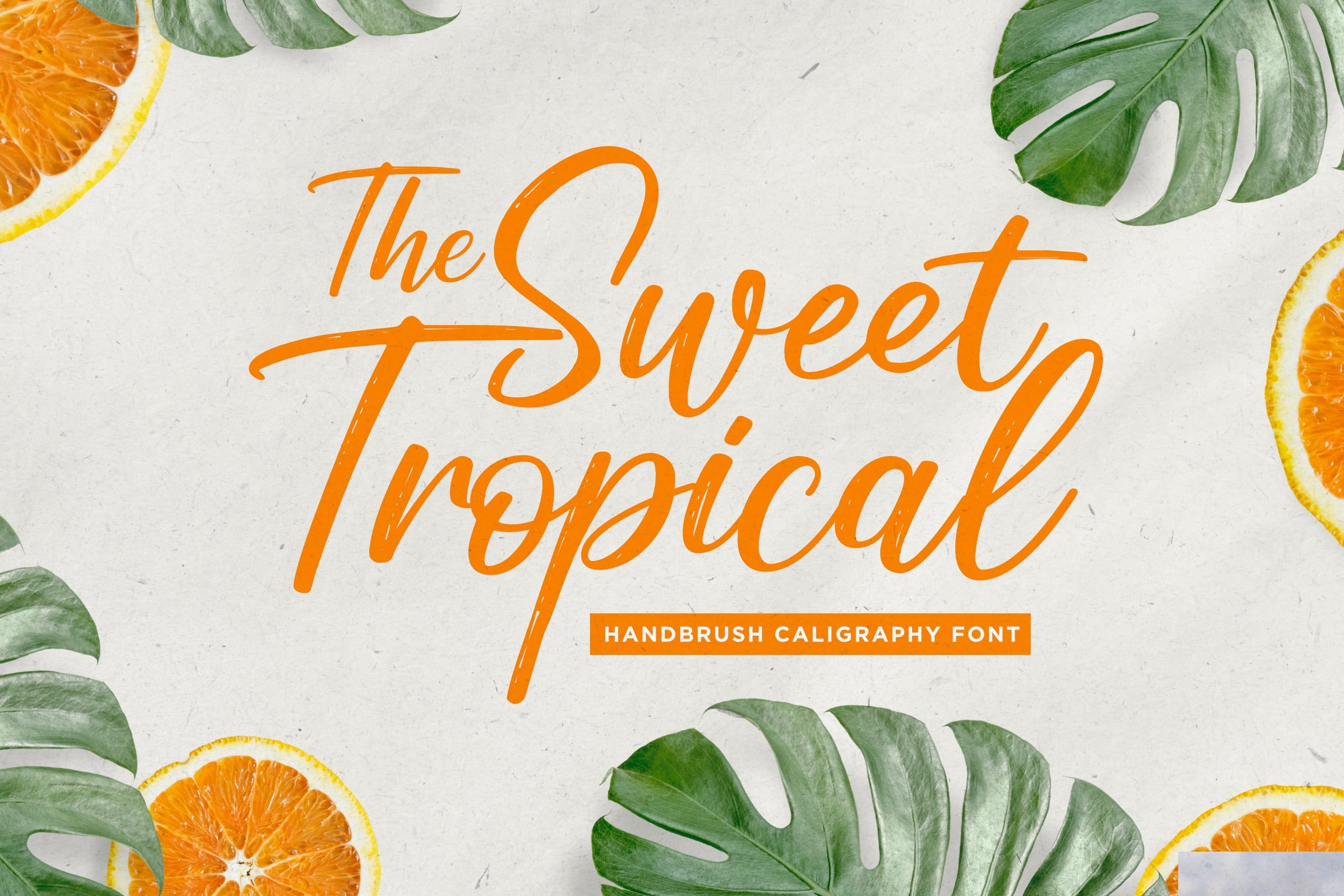The Sweet Tropical - handbrush caligraphy font, main picture 3000x2000.