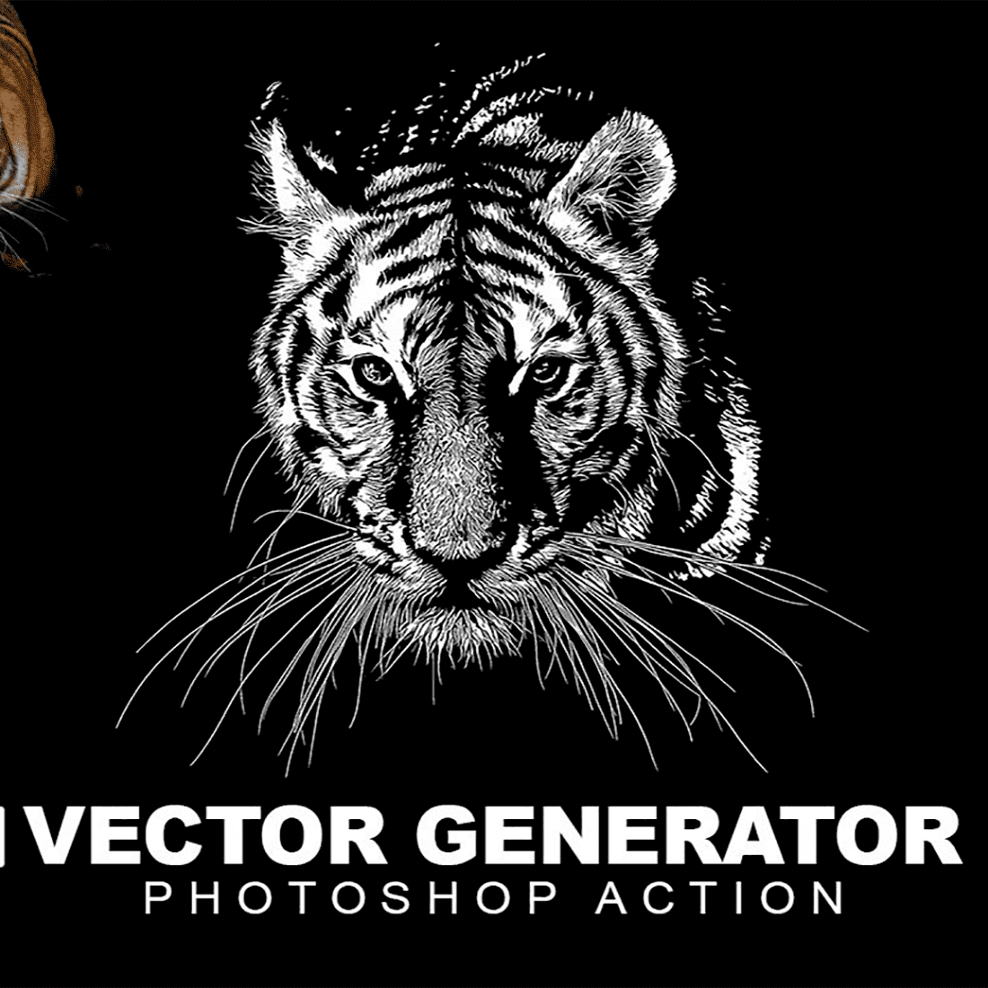 Vector generator photoshop action, main picture 1100x1100.