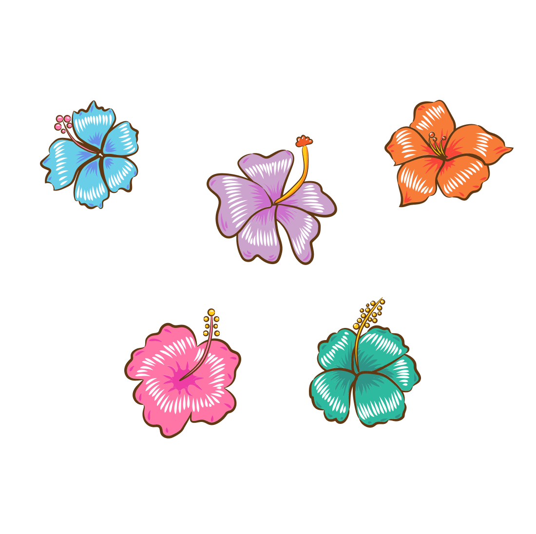 Preview hibiscus flower bundle.