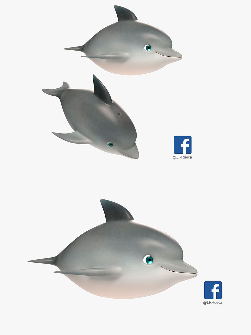 Dolphin, picture for pinterest.