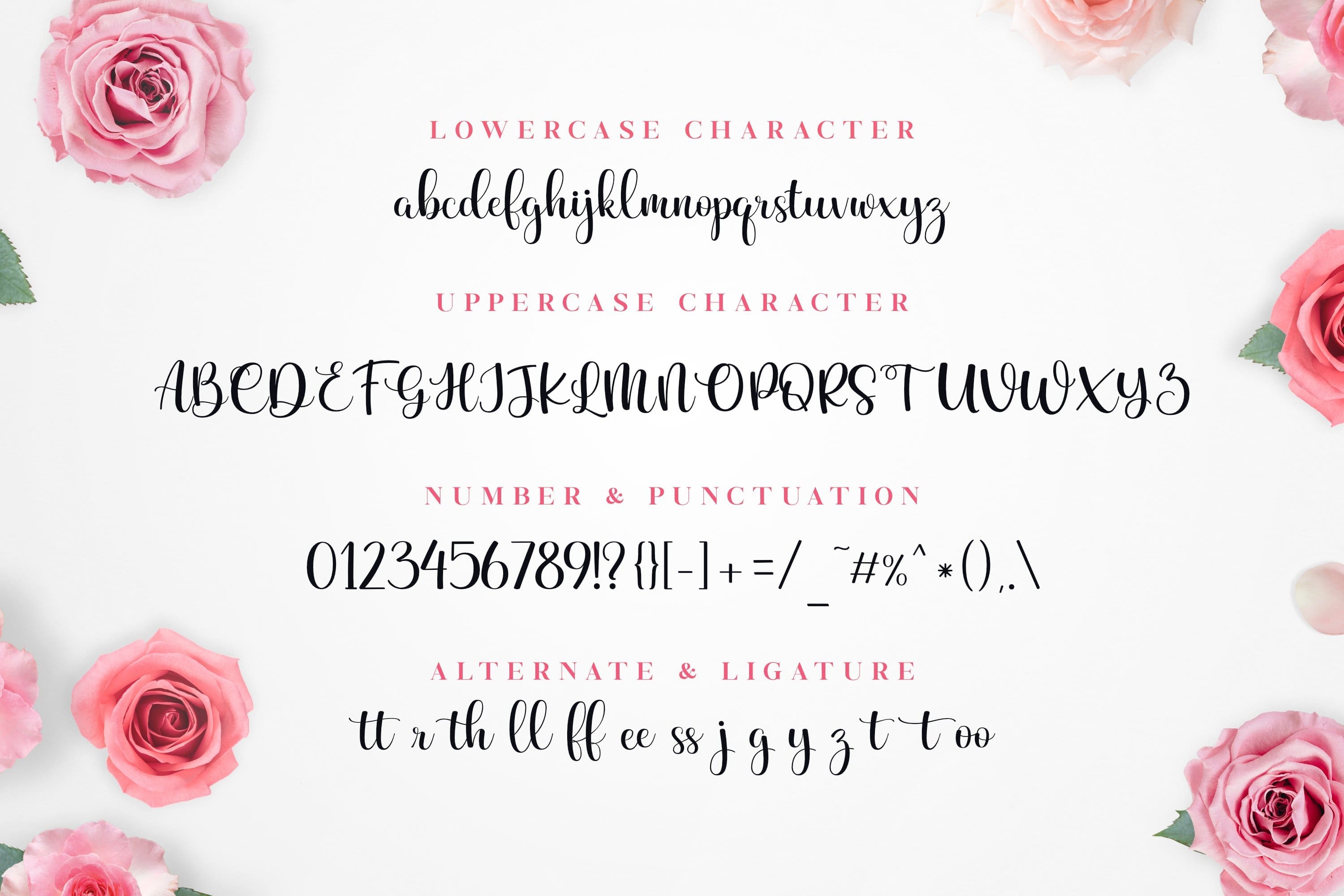 Beauty and elegance, alphabet, special characters, numbers in four rows with roses.