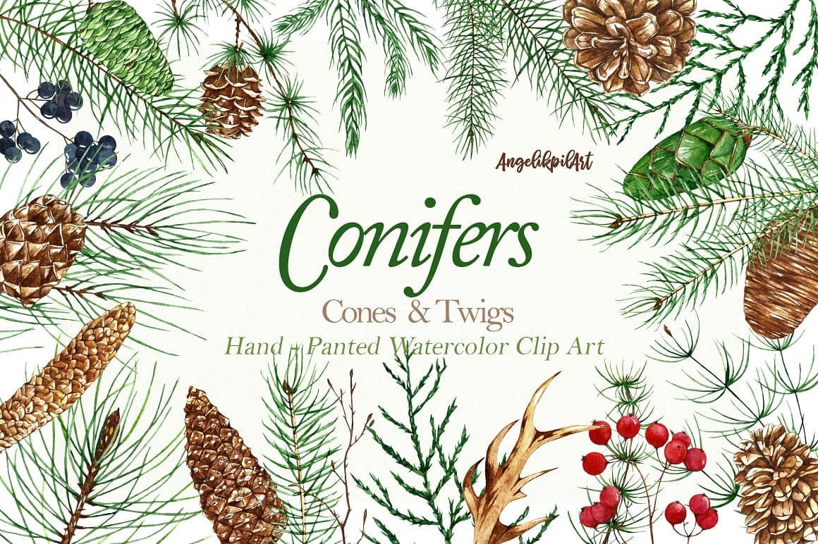 Large Watercolor painting of conifers, extension 1160 by 772 pixels.