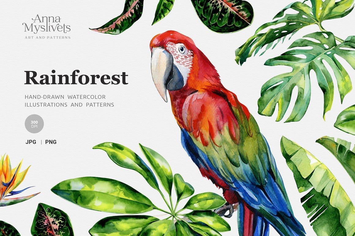 Rainforest - Hand-drawn Watercolor Illustrations and Patterns.