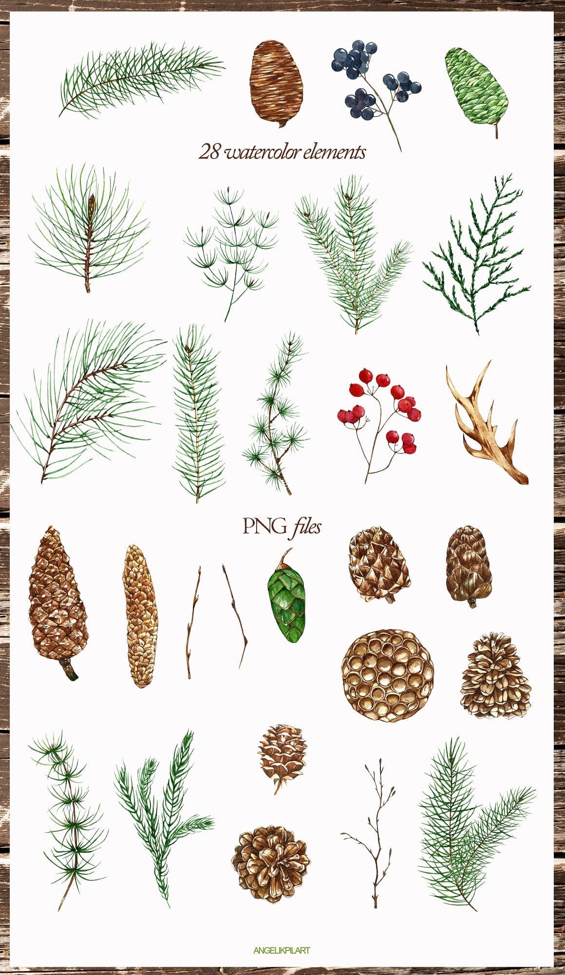 28 watercolor elements of coniferous trees.