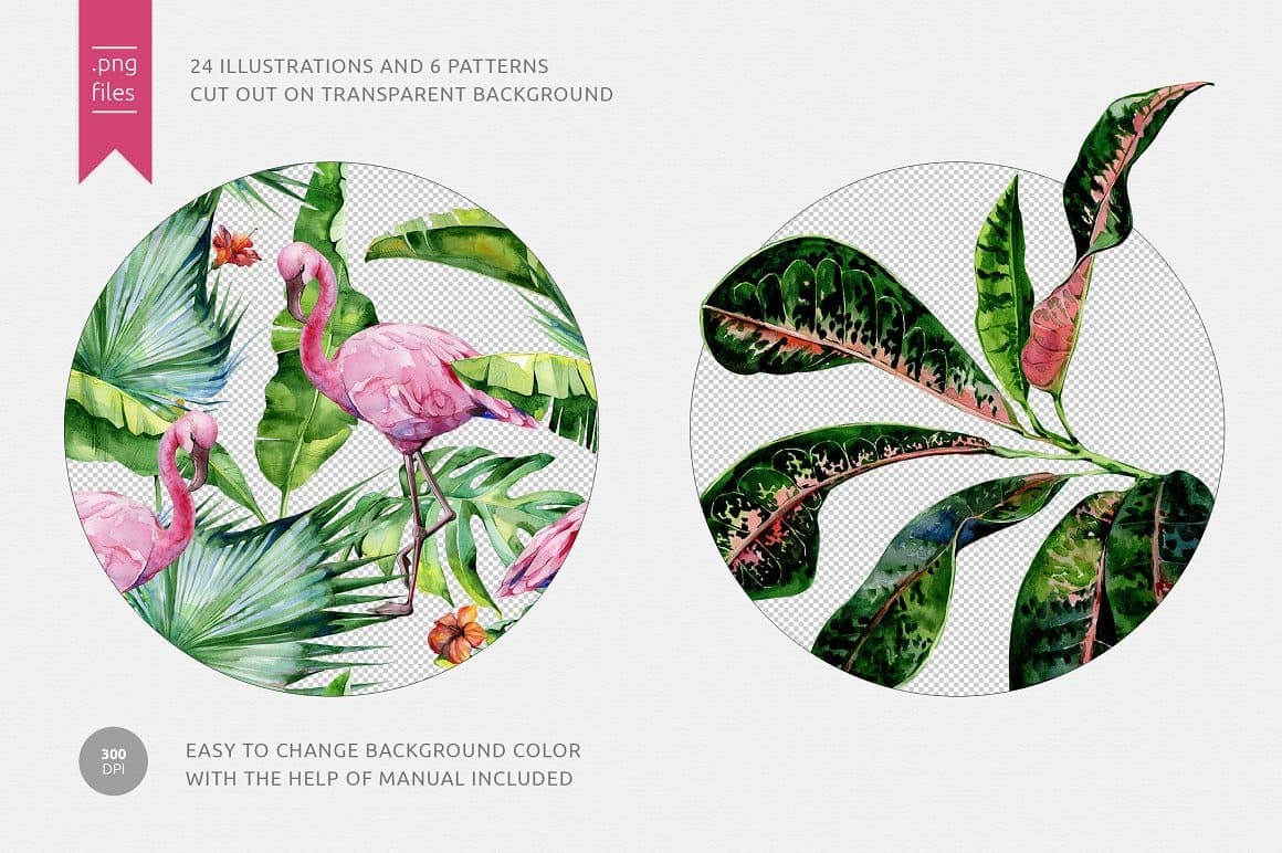 Rainforest, 24 Illustrations and 6 Patterns cut out on Transparent Background.