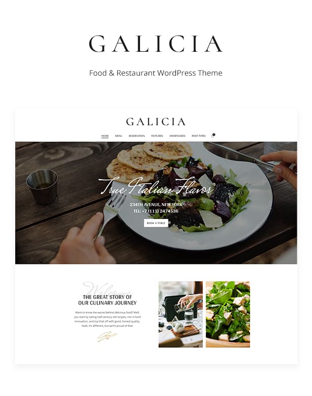Galicia food and restaurant WordPress theme.